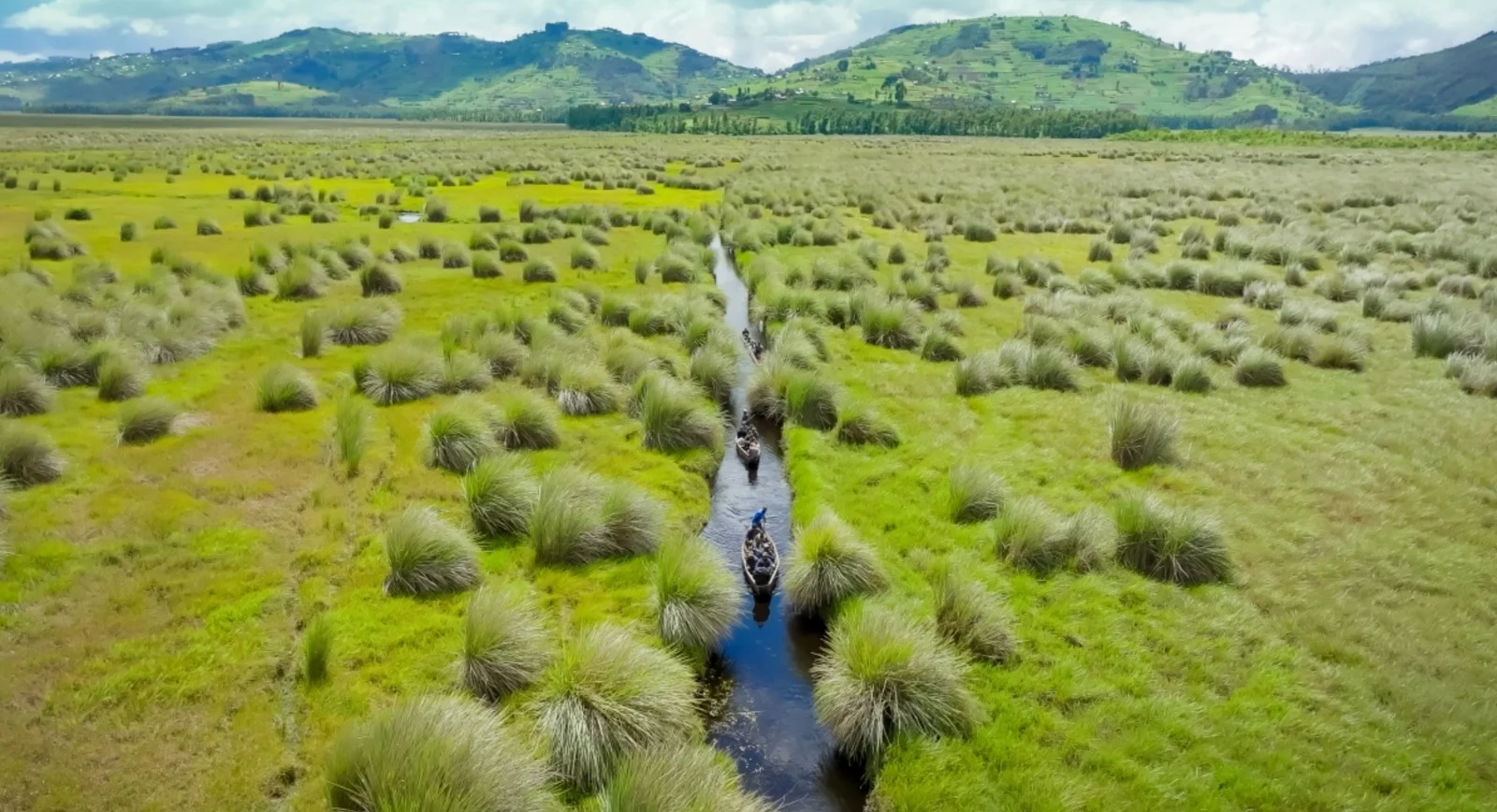 Unveiling Rugezi Marsh: Rwanda’s Hidden Biodiversity Treasure