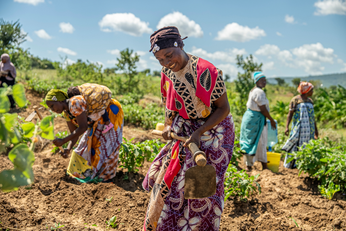 AI Tool Developed to Predict, Prevent Food Insecurity in Kenya