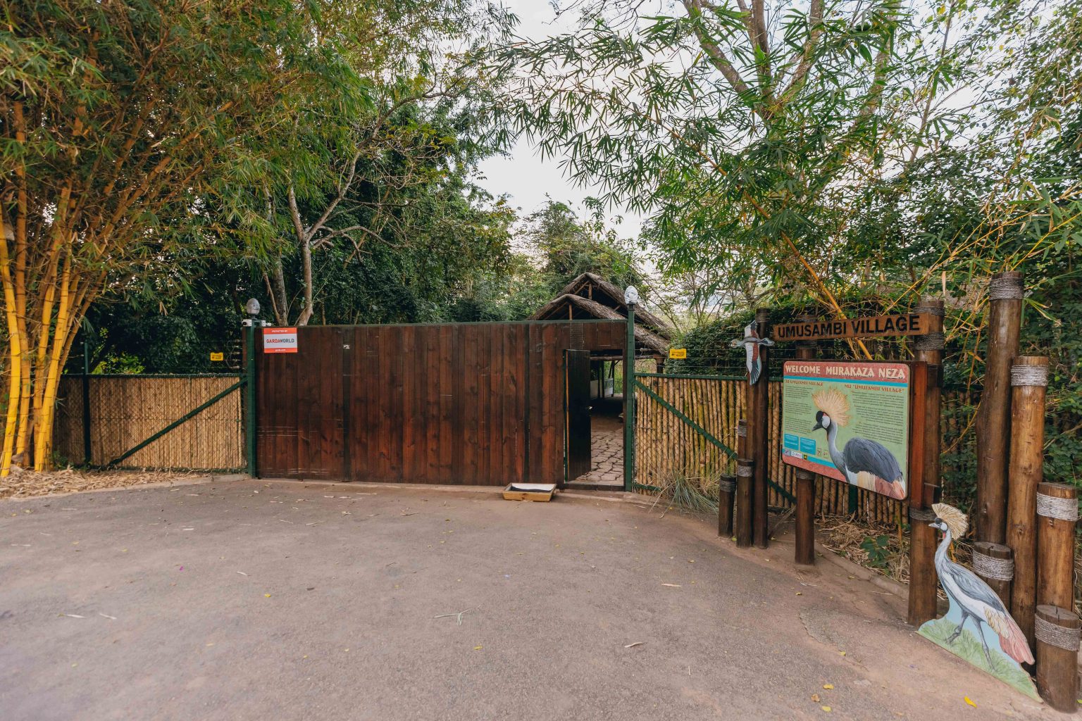 Saving Africa’s Wetlands: Rwanda’s Blueprint for Conservation